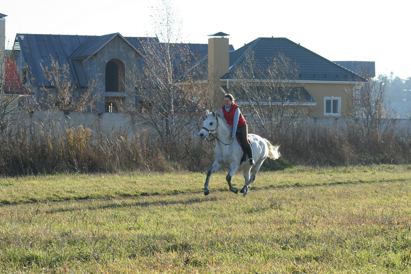 IMG_1109.jpg1%60.jpg"%20height="533"%20width="800